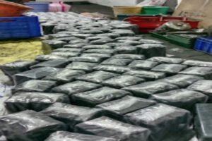 WhatsApp Image 2025-08-28 at 7.14.06 PM (2)