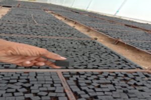 WhatsApp Image 2025-08-28 at 7.14.06 PM